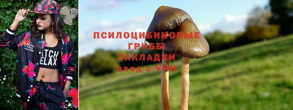 тгк Белокуриха