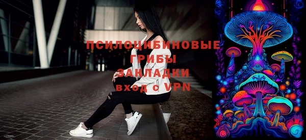 mix Богородск