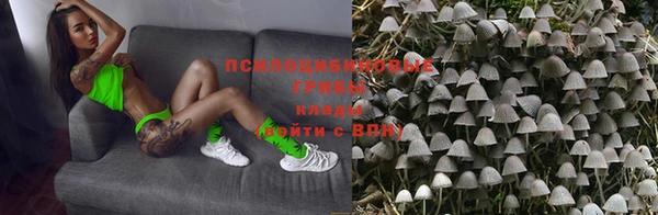 mix Богородск